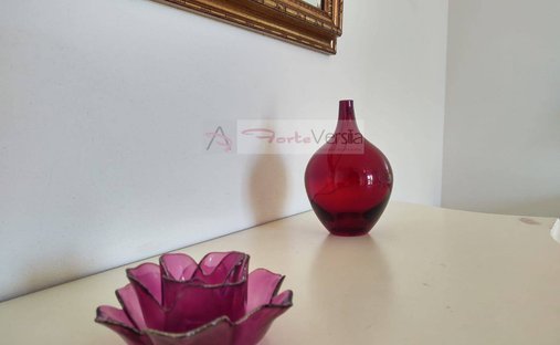 Villa in Motrone, Pietrasanta, Italy 1