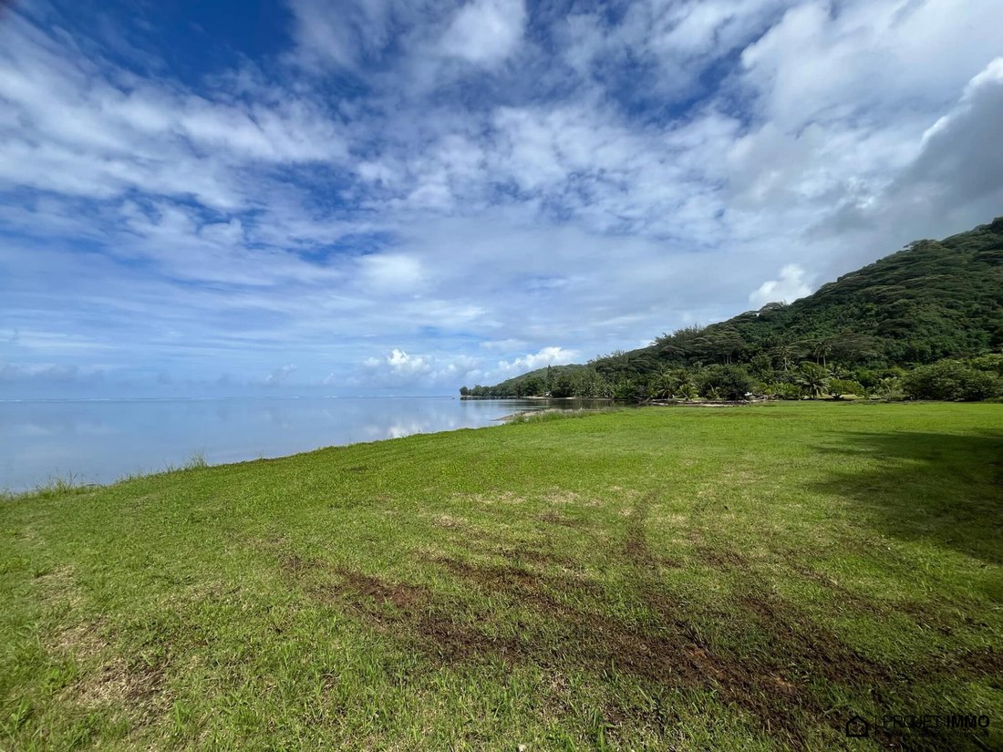 Land in Moorea-Maiao, Windward Islands, French Polynesia 3 - 15132849