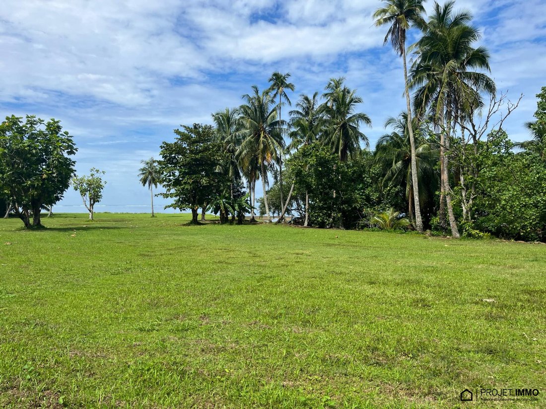 Land in Moorea-Maiao, Windward Islands, French Polynesia 2 - 15132849