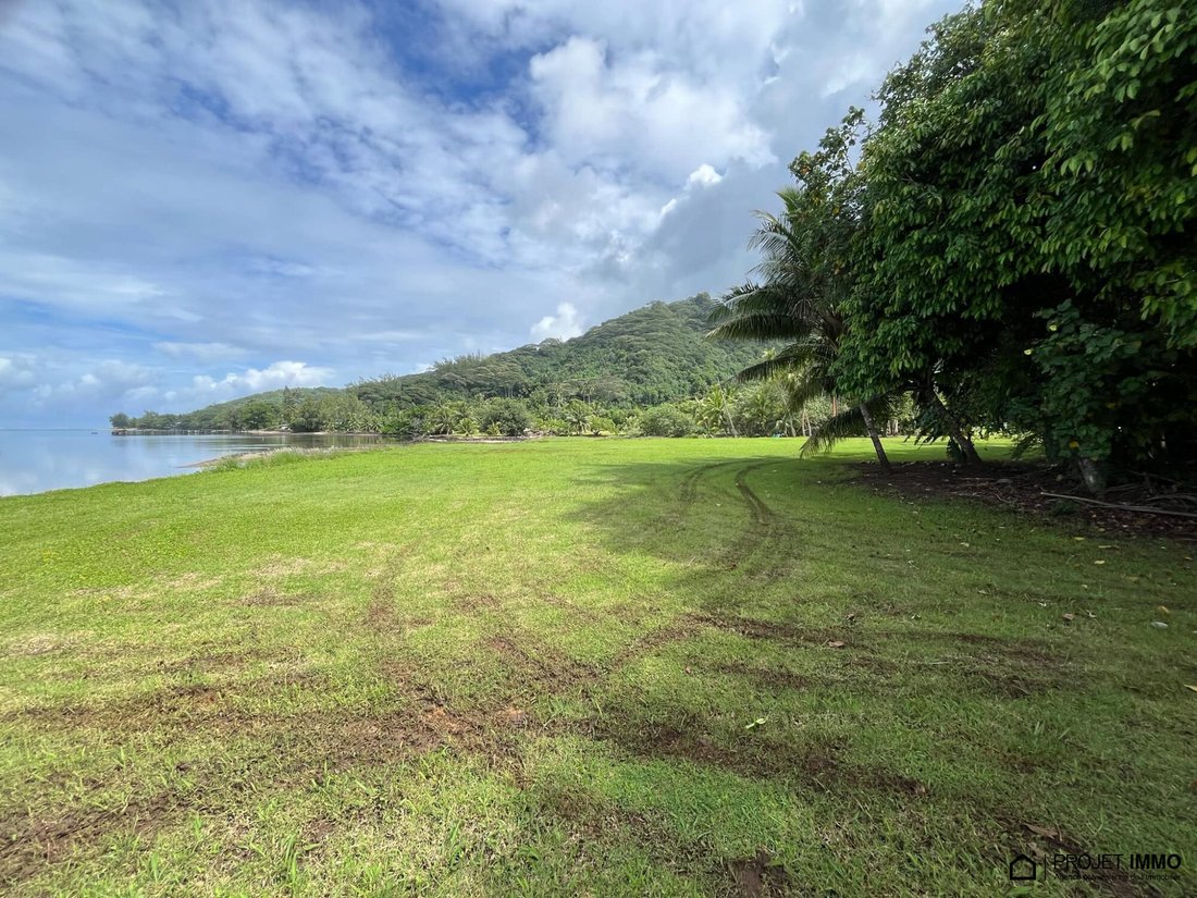 Land in Moorea-Maiao, Windward Islands, French Polynesia 4 - 15132849