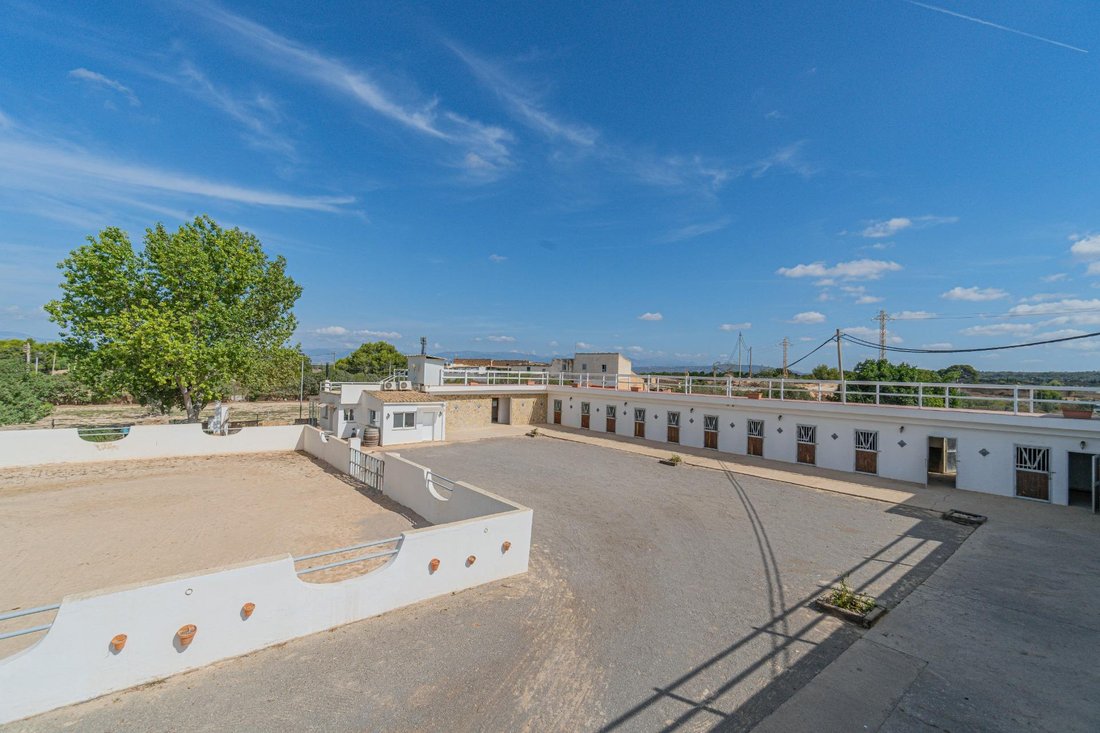 Country House in Llucmajor, Balearic Islands, Spain 4 - 15129658