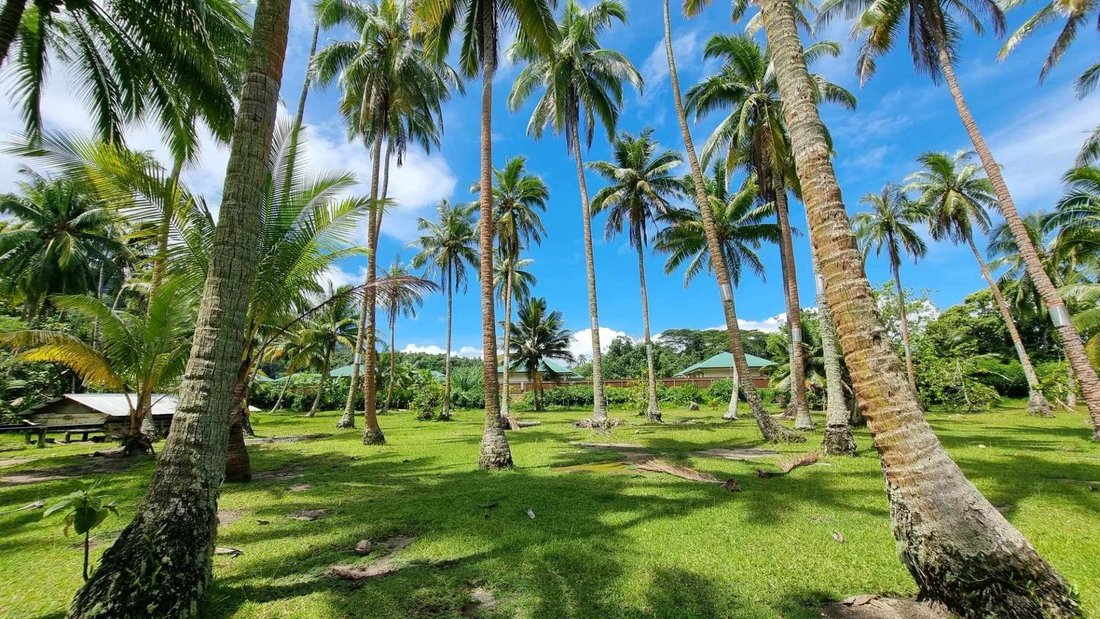 Land in Moorea-Maiao, Windward Islands, French Polynesia 1 - 15132804