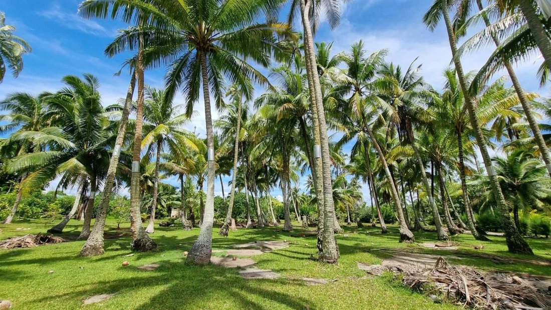 Land in Moorea-Maiao, Windward Islands, French Polynesia 5 - 15132804
