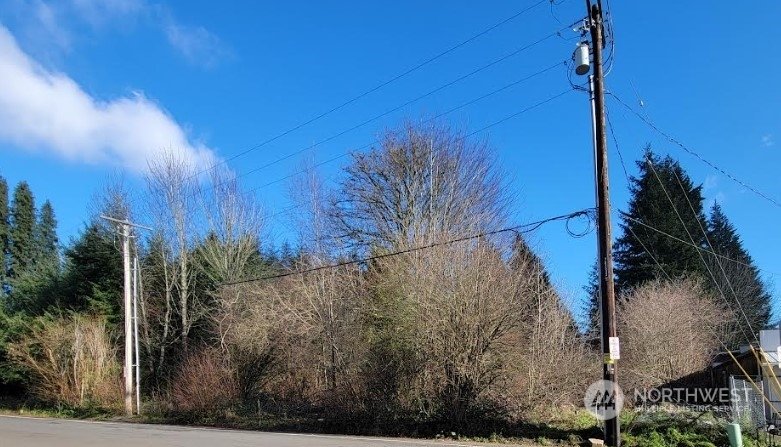 Land in Olympia, Washington, United States 4 - 15131068