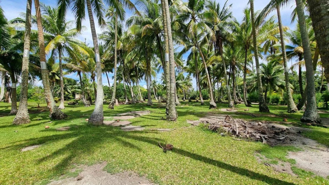 Land in Moorea-Maiao, Windward Islands, French Polynesia 2 - 15132804