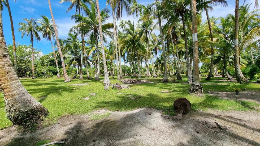 Land in Moorea-Maiao, Windward Islands, French Polynesia 4 - 15132804