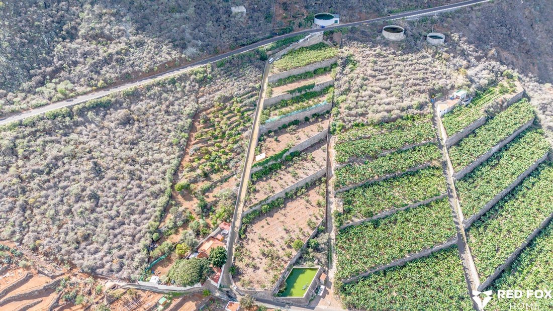 Land in Buenavista del Norte, Canary Islands, Spain 3 - 15137712
