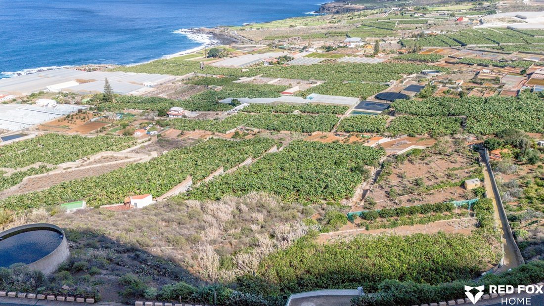 Land in Buenavista del Norte, Canary Islands, Spain 4 - 15137712