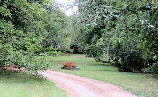 Castle for Sale in Sainte-Thorette, Centre-Val de Loire, France