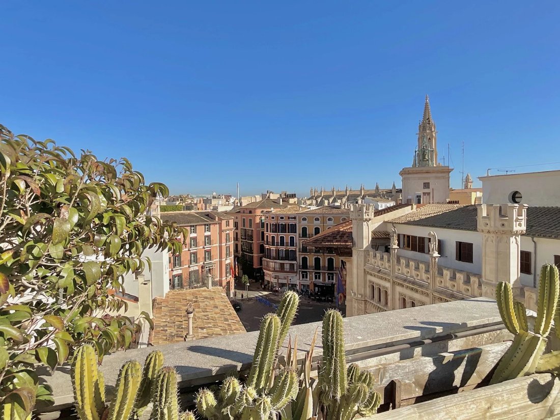 Estate in Palma, Balearic Islands, Spain 1 - 15139264