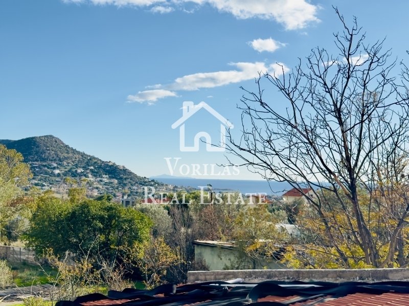 House in Kropia, Attica, Greece 3 - 15139031