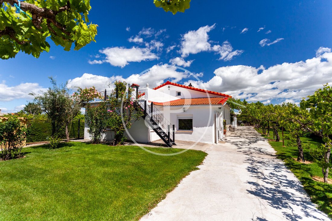Villa in Fuente el Saz de Jarama, Comunidad de Madrid, Spain 1 - 15142692