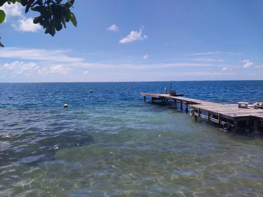 House in Uturoa, Leeward Islands, French Polynesia 1 - 15140812