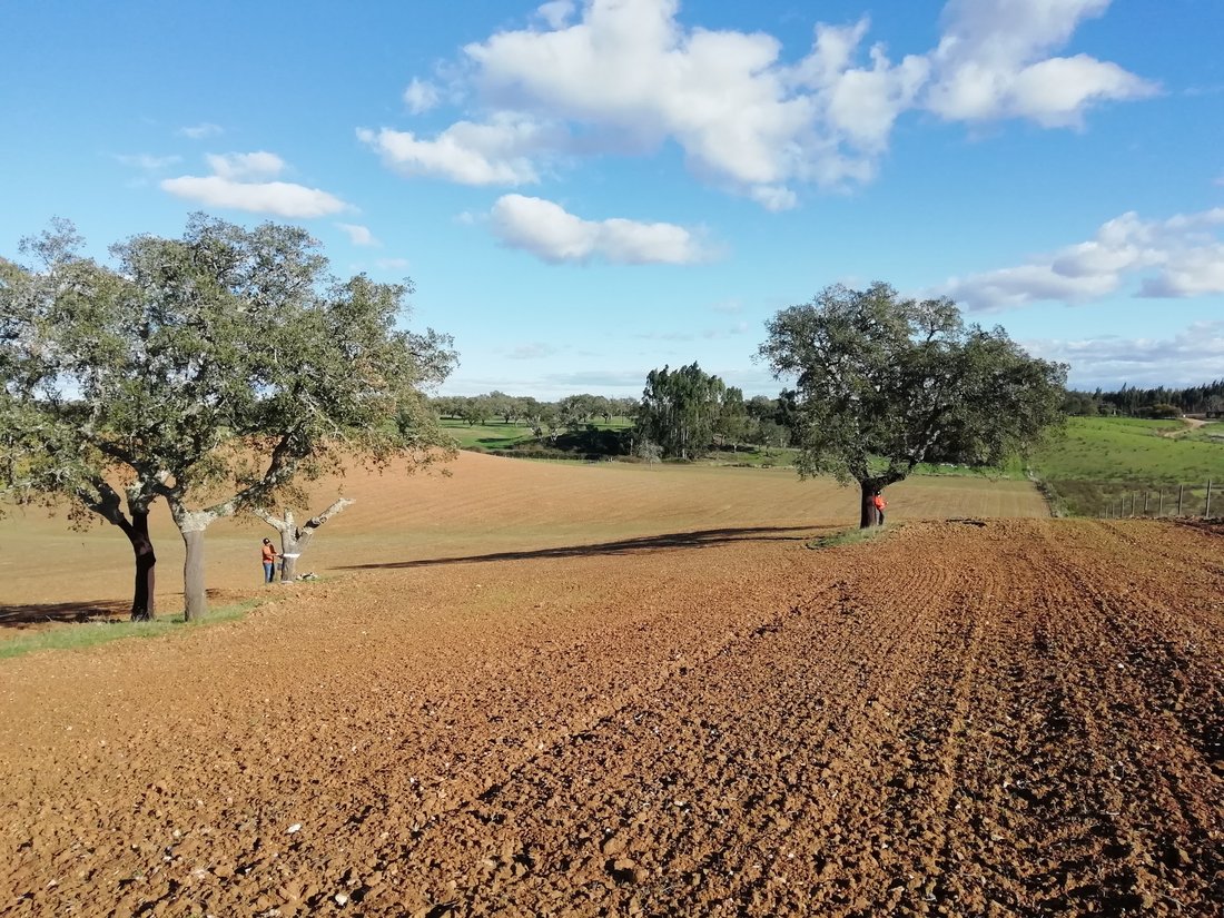 Land in Sao Domingos e Vale de Agua, Setubal, Portugal 5 - 15141519