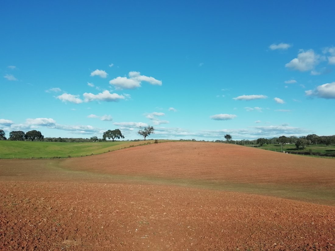 Land in Sao Domingos e Vale de Agua, Setubal, Portugal 4 - 15141519