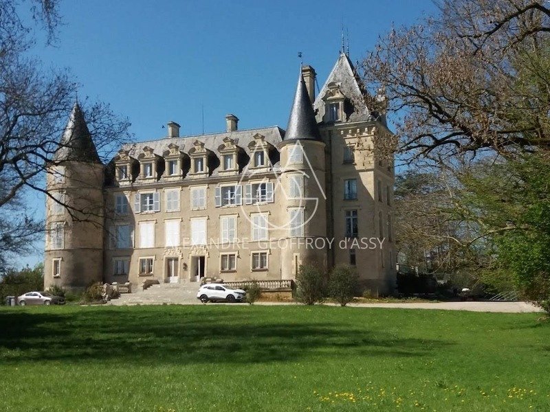 Château des Rêves Éternels: 72 Rooms of Timeless Grandeur in the Heart of Loire