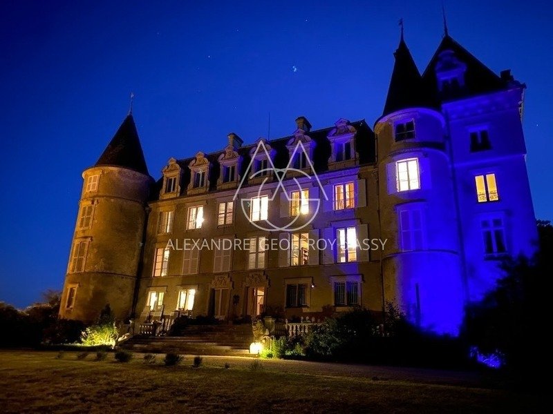 Château des Rêves Éternels: 72 Rooms of Timeless Grandeur in the Heart of Loire
