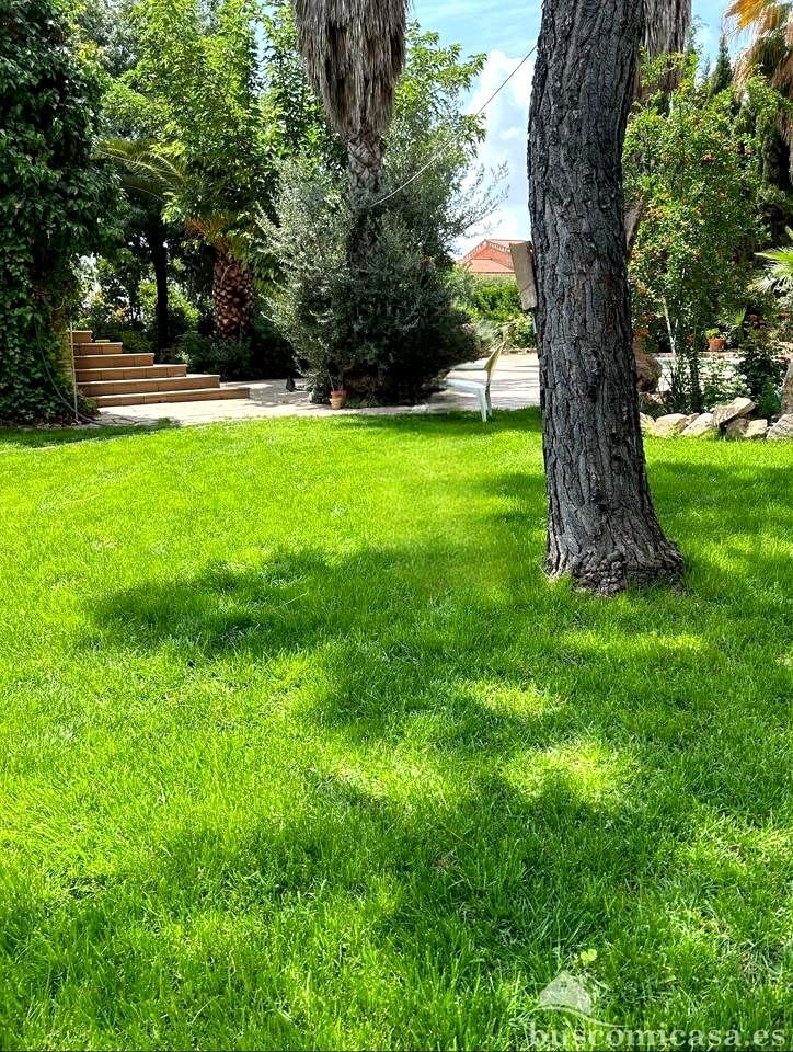 Townhouse in Linares, Andalusia, Spain 3 - 15037339