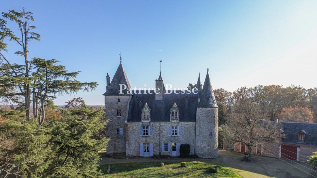 Whispers of the 11th Century: A Timeless Castle in Loire’s Embrace