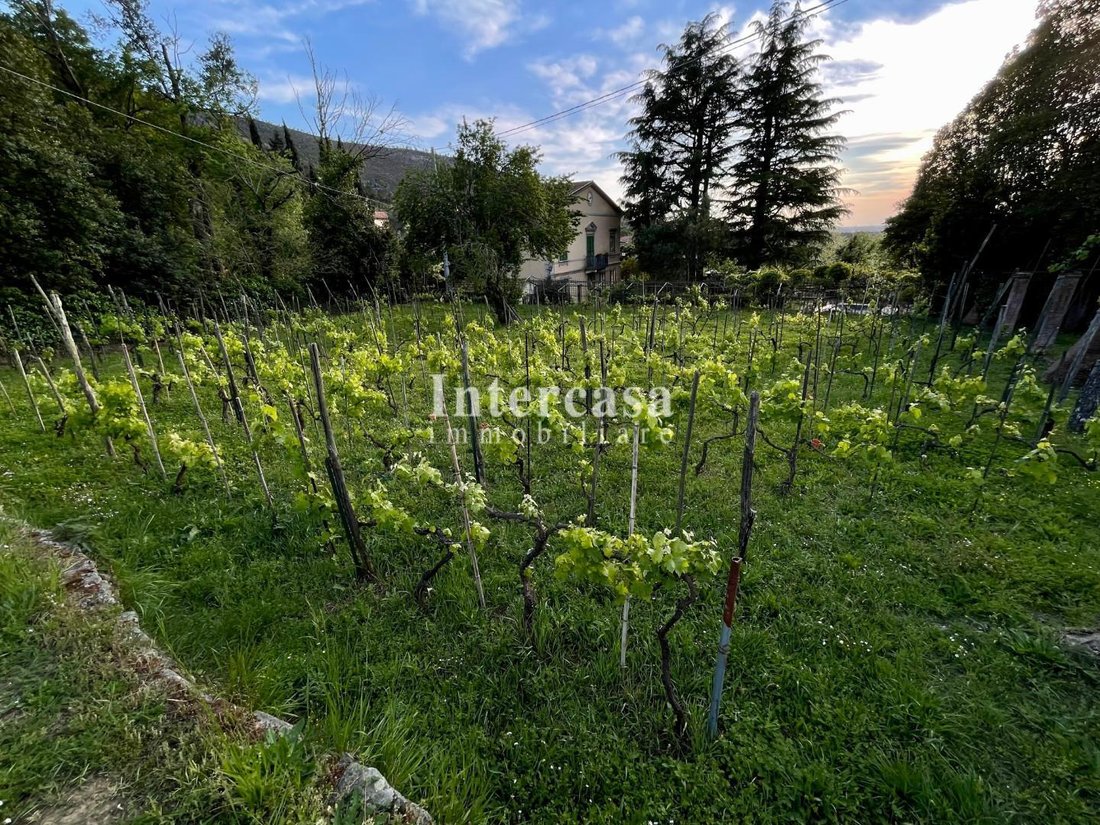 Villa in Calci, Tuscany, Italy 4 - 15146878