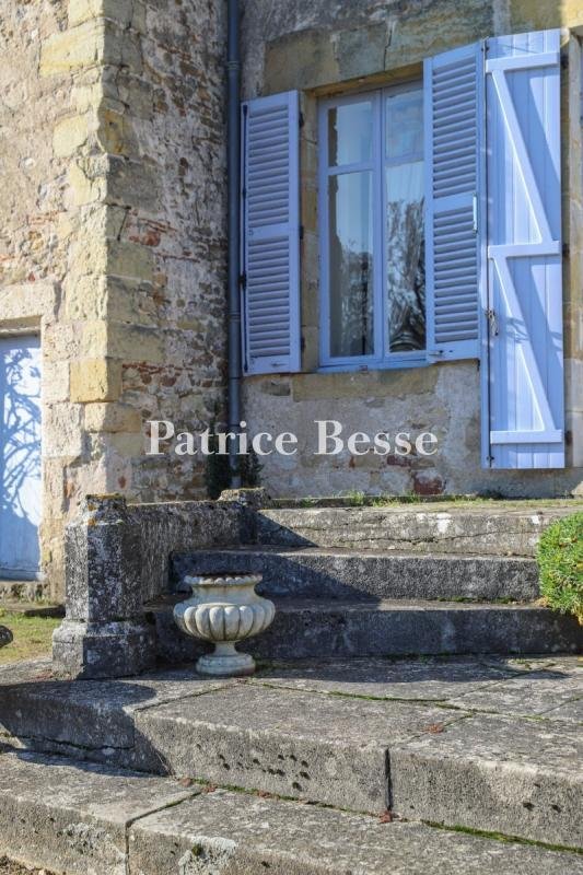 Whispers of the 11th Century: A Timeless Castle in Loire’s Embrace