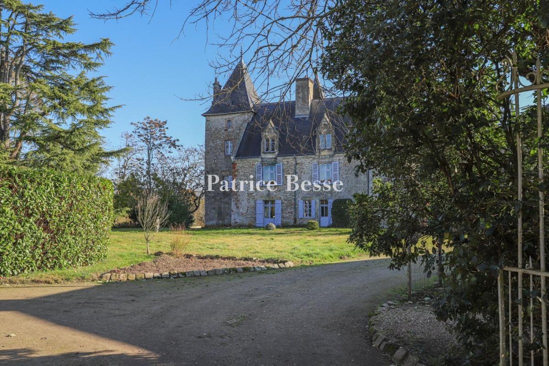 Whispers of the 11th Century: A Timeless Castle in Loire’s Embrace