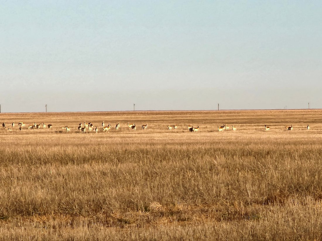 Farm Ranch in Haswell, Colorado, United States 5 - 15146310