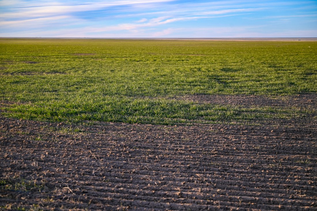 Farm Ranch in Haswell, Colorado, United States 1 - 15146310