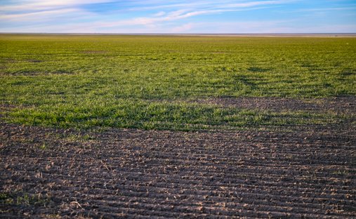 Farm Ranch in Haswell, Colorado, Vereinigte Staaten 1