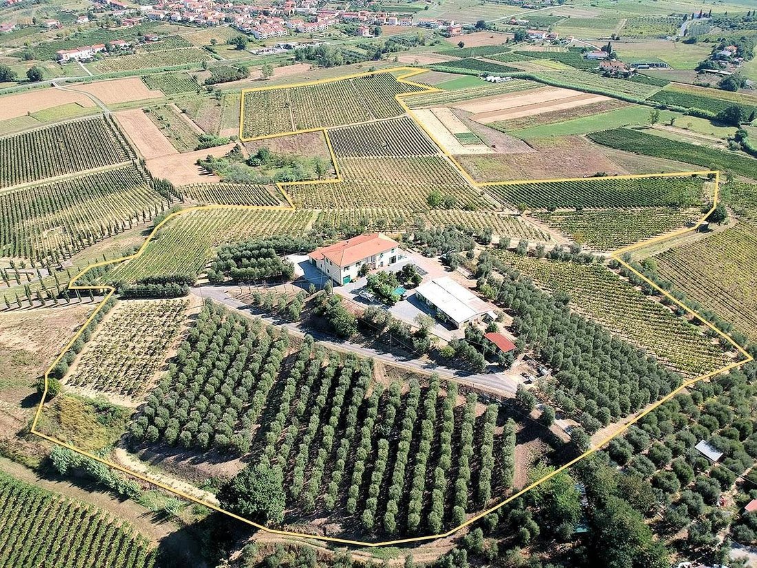 Country House in Center, Cerreto Guidi, Tuscany 2 - 12745619