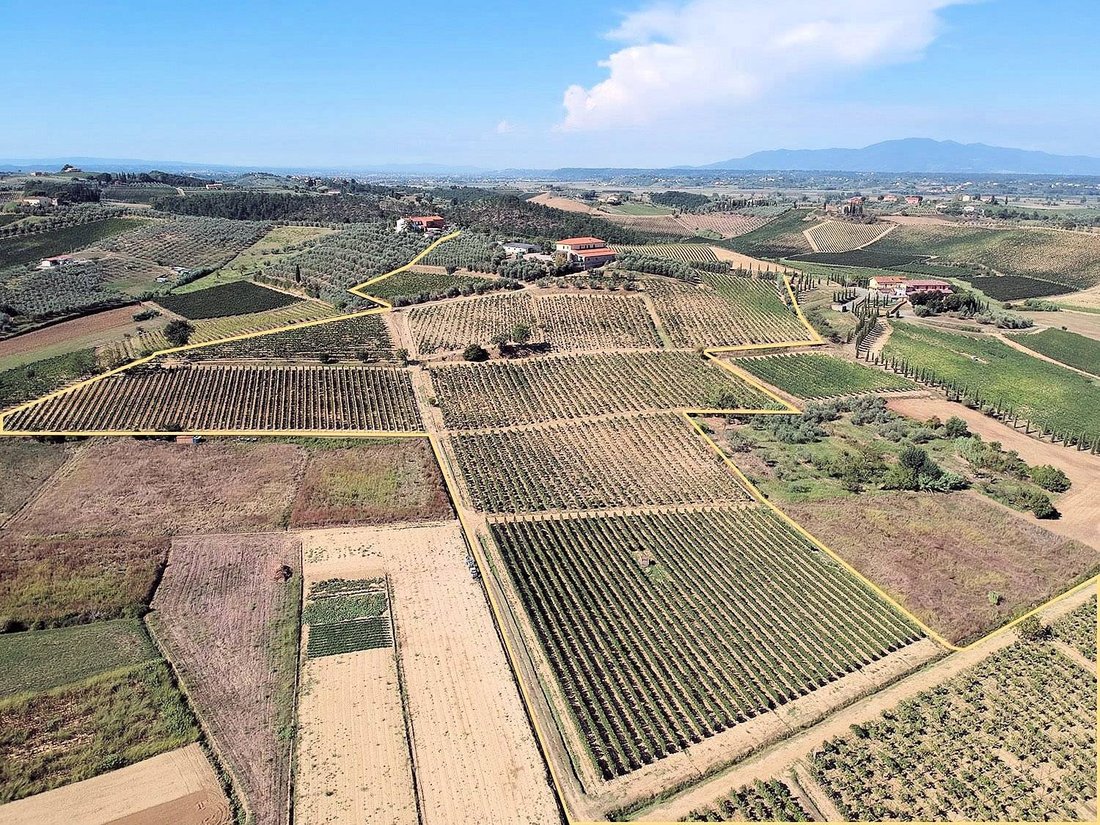 Country House in Center, Cerreto Guidi, Tuscany 4 - 12745619