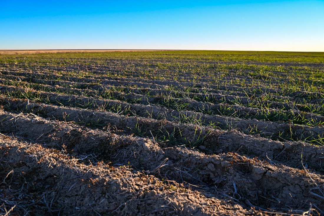 Farm Ranch in Haswell, Colorado, United States 4 - 15146310