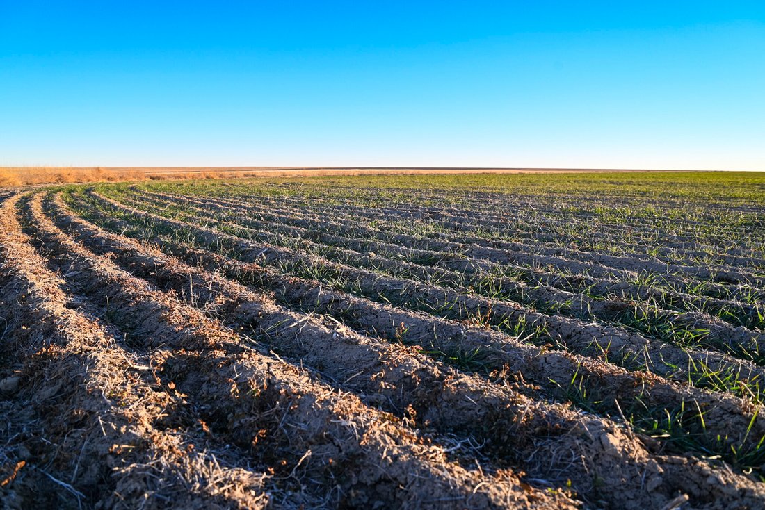 Farm Ranch in Haswell, Colorado, United States 2 - 15146310