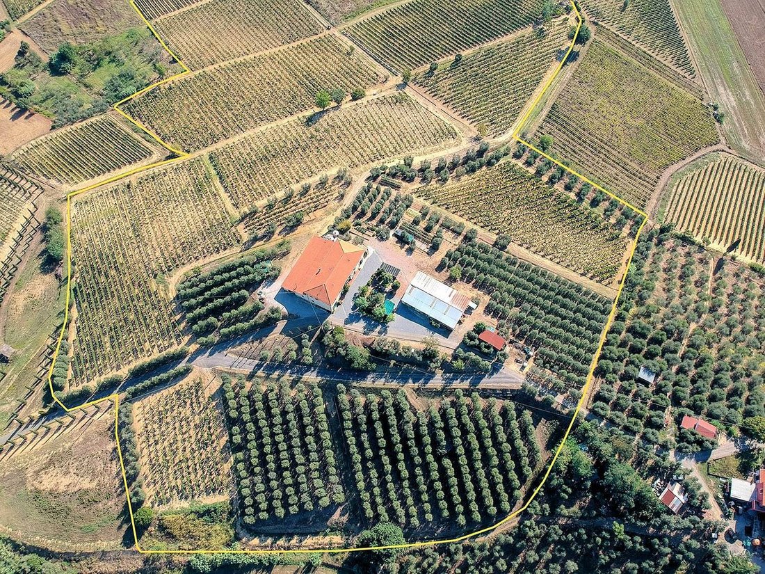 Country House in Center, Cerreto Guidi, Tuscany 5 - 12745619
