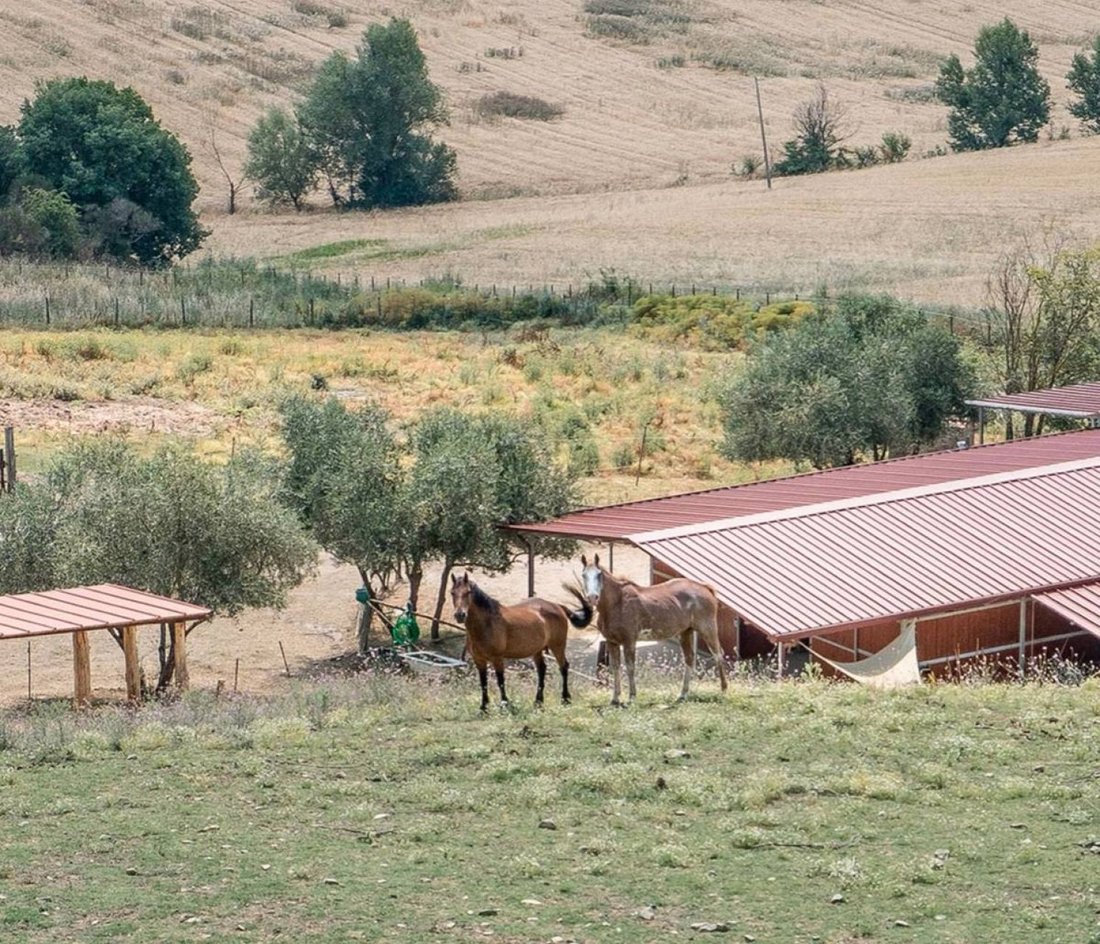 Villa in Umbertide, Umbria, Italy 5 - 15147292