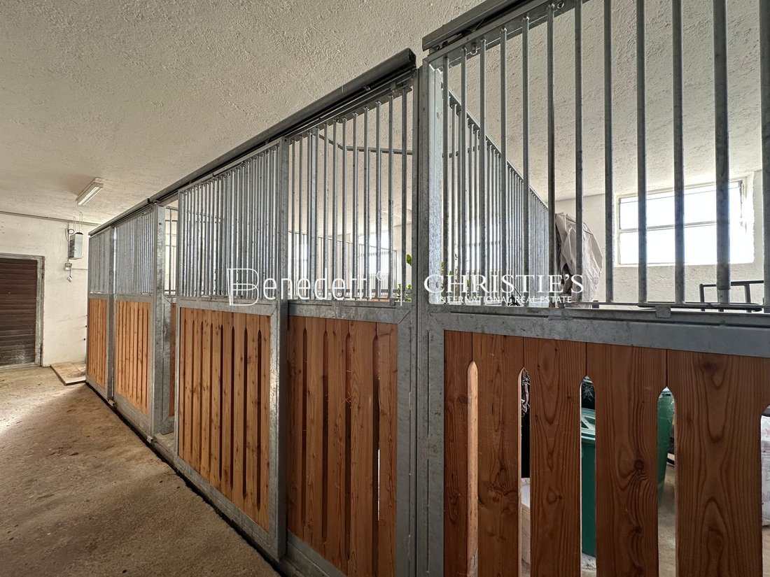 Villa in Schenna, Trentino – Alto Adige/Südtirol, Italy 3 - 14940173