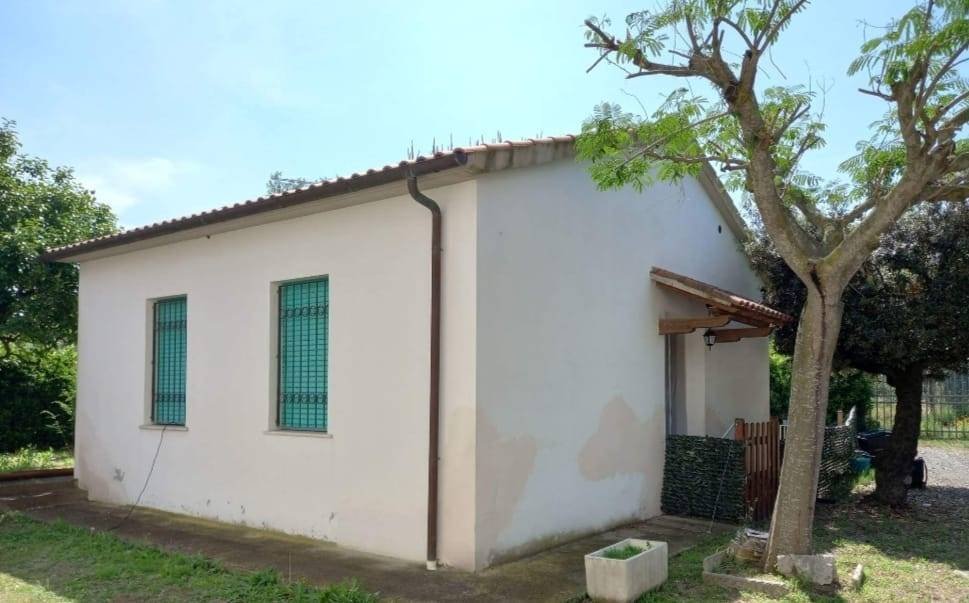 Estate in Rosignano Marittimo, Tuscany, Italy 5 - 15151005