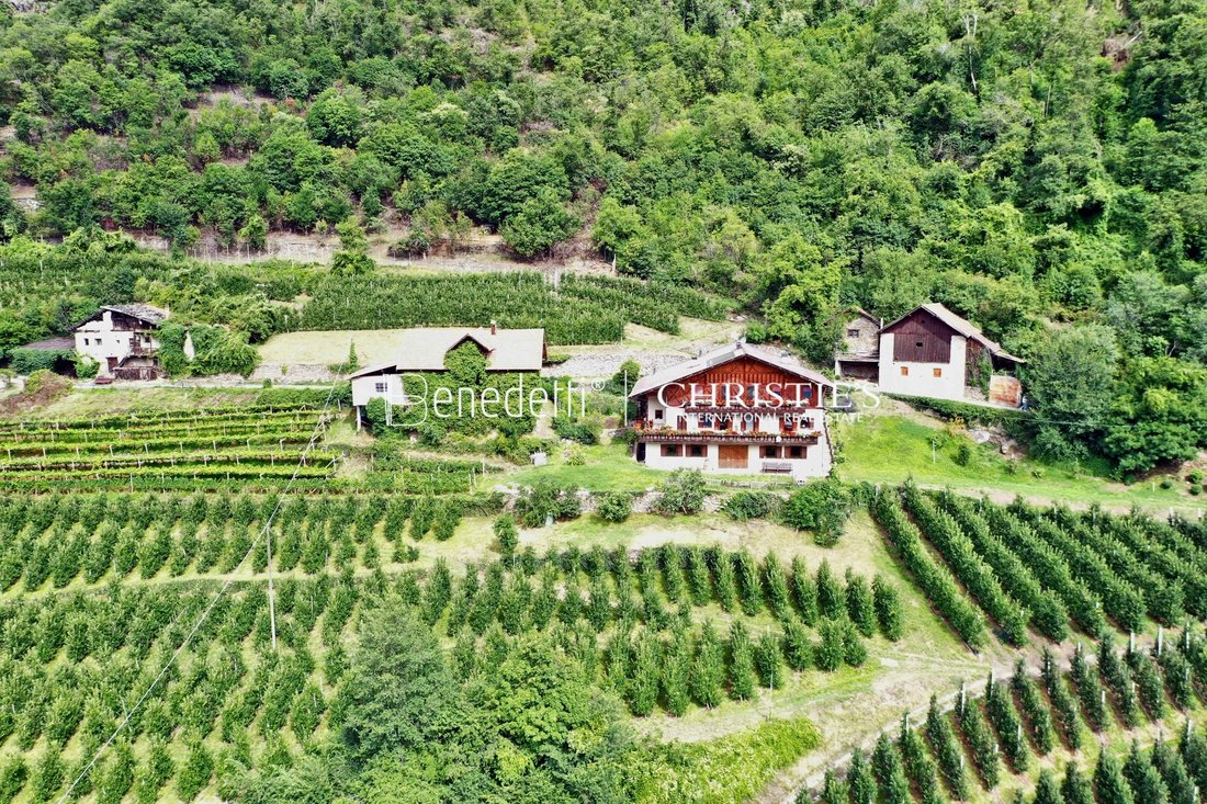 Estate in Naturns, Trentino – Alto Adige/Südtirol, Italy 3 - 14817464