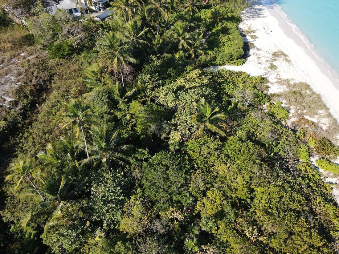 Terrain à George Town, Exumas, Bahamas 5 - 14916545