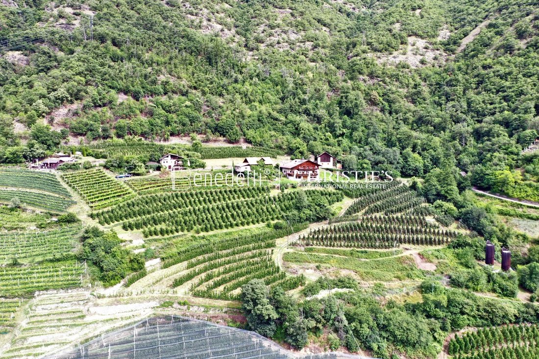 Estate in Naturns, Trentino – Alto Adige/Südtirol, Italy 4 - 14817464