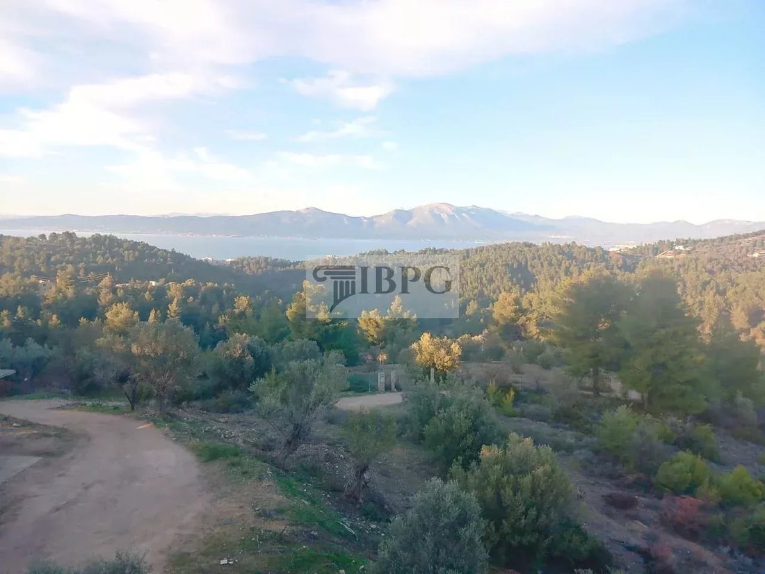 Oropos, Attica, Greece 1 - 14896513