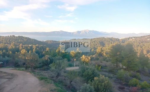 Oropos, Attica, Greece 1