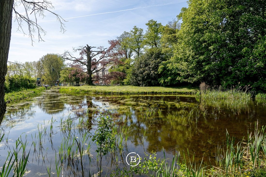 Ortegat’s Neoclassical Symphony: A Dome-Crowned Castle in Flanders’ Whispering Woods
