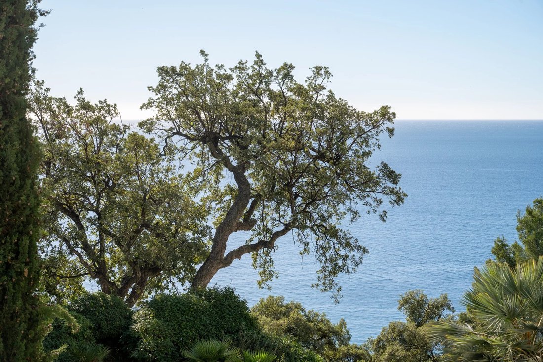 Apartment in Toulon, Provence-Alpes-Côte d'Azur, France 2 - 14949170