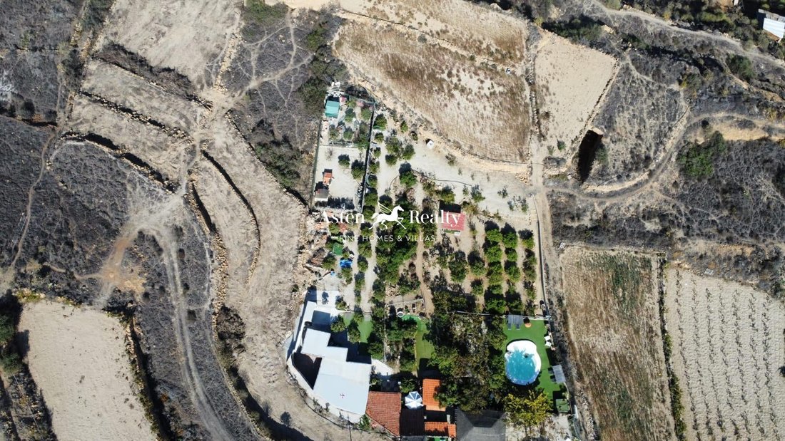 San Miguel de Abona, Canary Islands, Spain 3 - 15151422