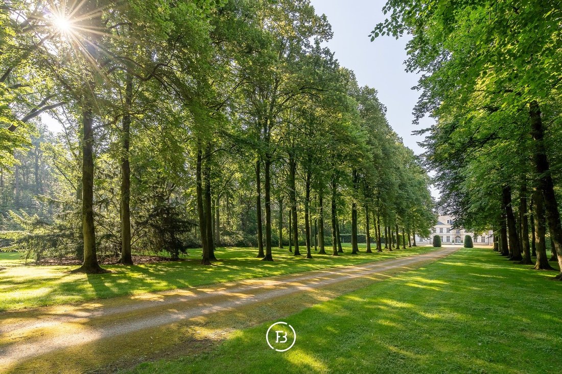 Les Gobelets: A Neoclassical Crown Jewel Over the Durme Valley’s Whispering Woods