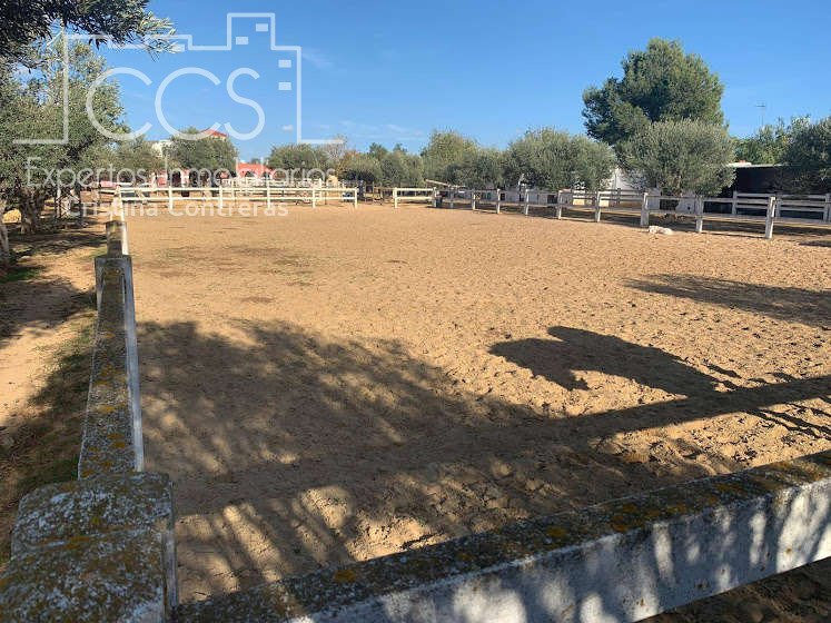 Villa in Alcala de Guadaira, Andalusia, Spain 3 - 10863608
