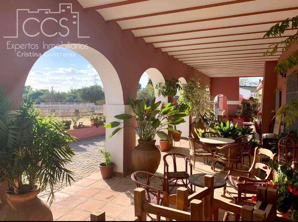Villa in Alcala de Guadaira, Andalusia, Spain 4 - 10863608