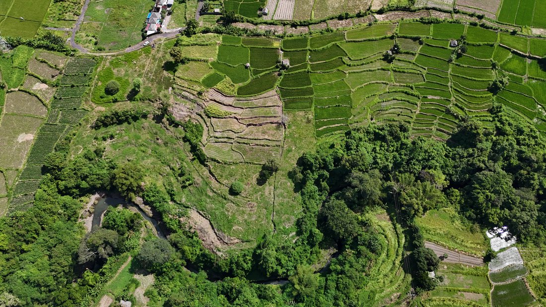 Land in Gianyar, Bali, Indonesia 5 - 14412548