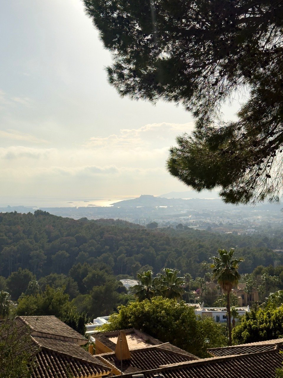 Villa à Can Furnet, Santa Eulària des Riu, Îles Baléares 5 - 15153556